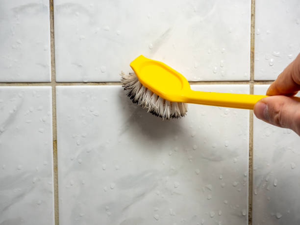 Mold Removal Process in Oologah, OK