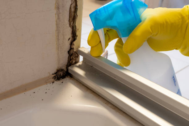 Home Mold Removal in Oologah, OK