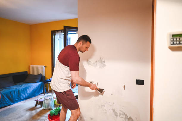 Best Mold Cleaning Services  in Oologah, OK